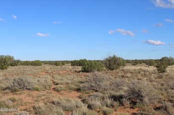 Sec 3 T14n R17e:se4 -- #-, Heber, AZ 85928