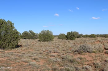 Sec 3 T14n R17e:se4 -- #-, Heber, AZ 85928
