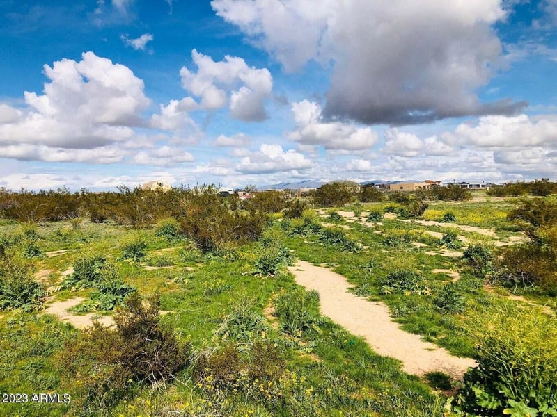 0 Siesta Way #482, Tonopah, AZ 85354