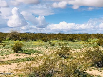 0 Siesta Way #482, Tonopah, AZ 85354