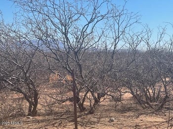 TBD 6 Ac's On Hwy 90 -- #4, Sierra Vista, AZ 85635