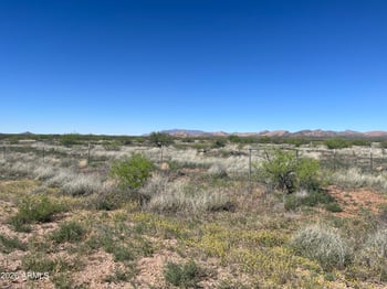 TBD Calle Suprema -- #114, Douglas, AZ 85607