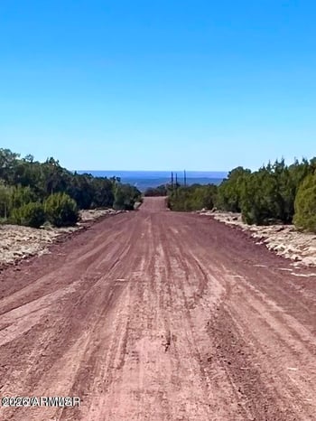 TBD Co Rd 8307 Lot 100 -- #-, Concho, AZ 85924