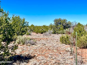 TBD Co Rd 8307 Lot 100 -- #-, Concho, AZ 85924
