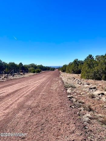 TBD Co Rd 8307 Lot 100 -- #-, Concho, AZ 85924