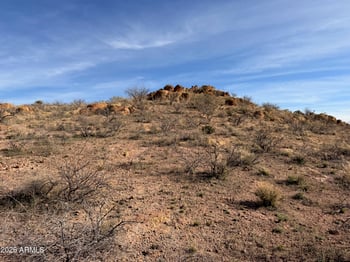 TBD Dougherty Rd #207, Pearce, AZ 85625