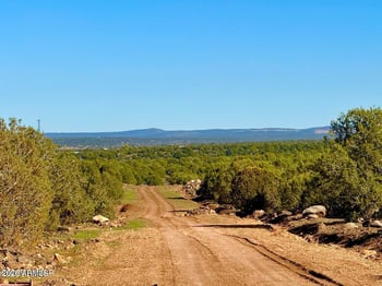 TBD Mustange Ln Lots D E F & H -- #-, Show Low, AZ 85901