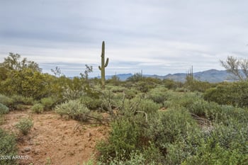 TBD Quail Track Rd #-, Rio Verde, AZ 85263