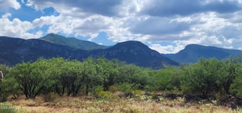 TBD Ramsey Canyon Rd Lot D -- #D, Hereford, AZ 85615