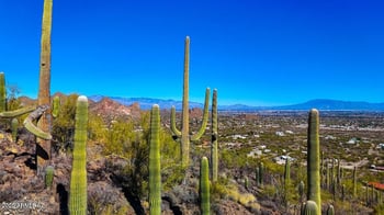 TBD Villa Sueno Lejos 10 Acres -- #--, Tucson, AZ 85746