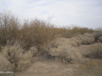0 Undetermined Rd #-, Goodyear, AZ 85395
