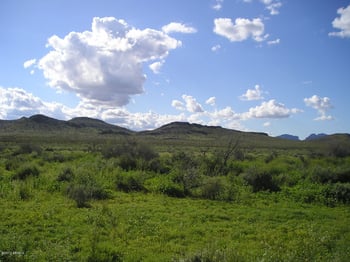 X20 Horseshoe Trl #54, Tonopah, AZ 85354