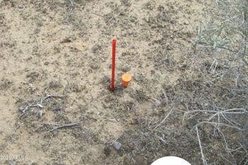 X20 Horseshoe Trl #54, Tonopah, AZ 85354