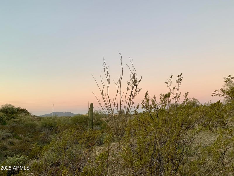 XX Japanese Garden Ct #G, Morristown, AZ 85342