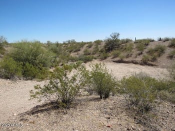 XX Japanese Garden Ct #J, Morristown, AZ 85342
