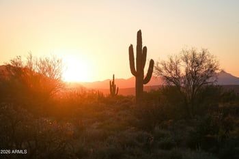 xx W Smokehouse Trl #'''-''', Wickenburg, AZ 85390