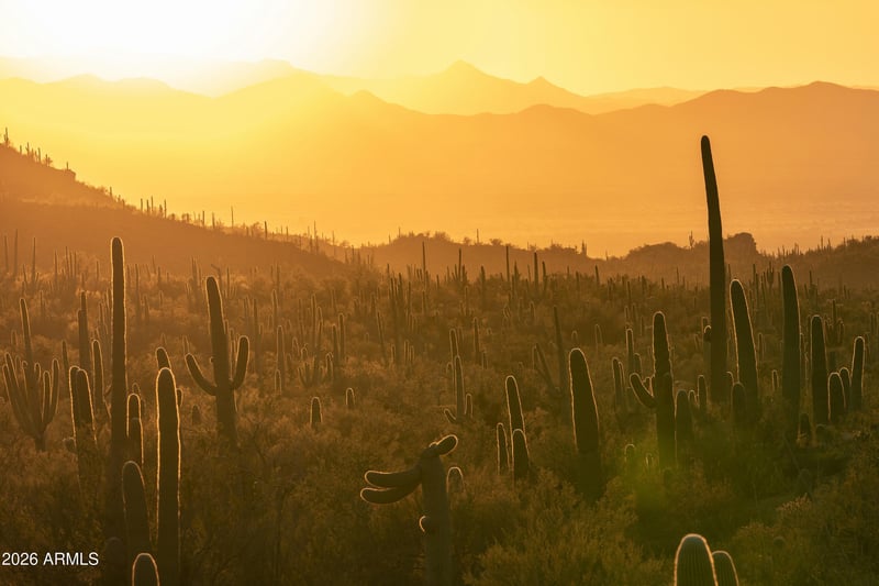 xx W Smokehouse Trl #'''-''', Wickenburg, AZ 85390