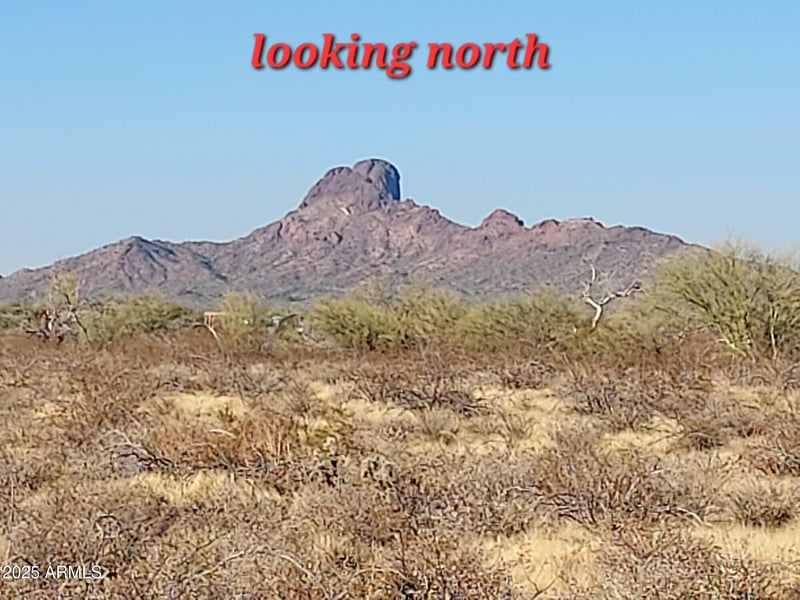 XX00 Villa Cassandra Way #203, Wittmann, AZ 85361