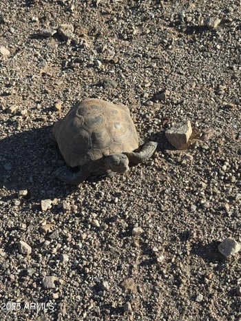 XX00H Blue Tank Trl #-, Wickenburg, AZ 85390