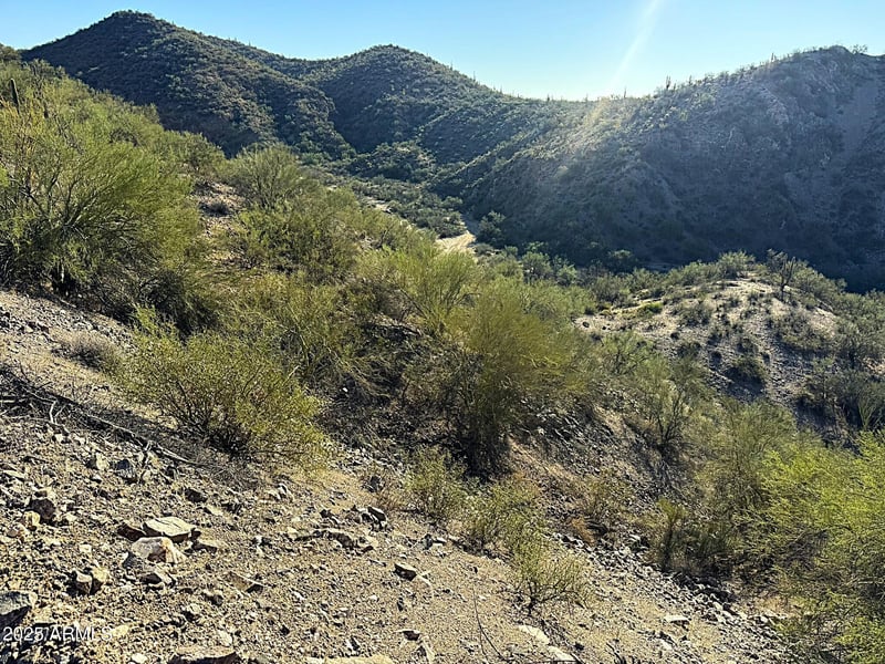 XX00H Blue Tank Trl #-, Wickenburg, AZ 85390