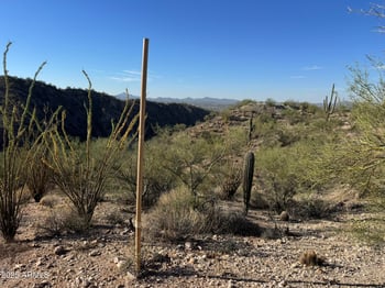 XX00J Blue Tank Trl #-, Wickenburg, AZ 85390