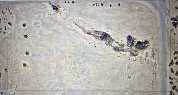 xxx 371th Ave #none, Tonopah, AZ 85354