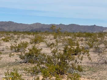XXX 411th Ave, Tonopah, AZ 85354