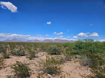 XXXX 27th St #3, Douglas, AZ 85607