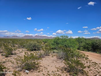 XXXX 27th St #3, Douglas, AZ 85607