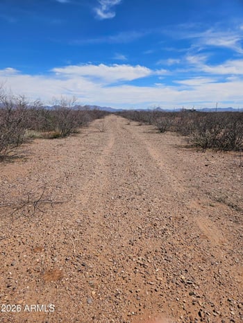 XXXX Tufts Dr #953, Douglas, AZ 85607