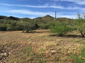 xxxxx Castle Hot Springs Rd #1, Morristown, AZ 85342