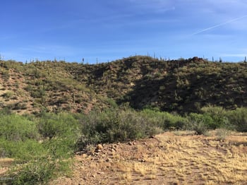 xxxxx Castle Hot Springs Rd #1, Morristown, AZ 85342