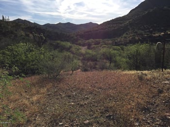 xxxxx Castle Hot Springs Rd #1, Morristown, AZ 85342