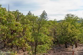  , Prescott Valley, AZ 86312