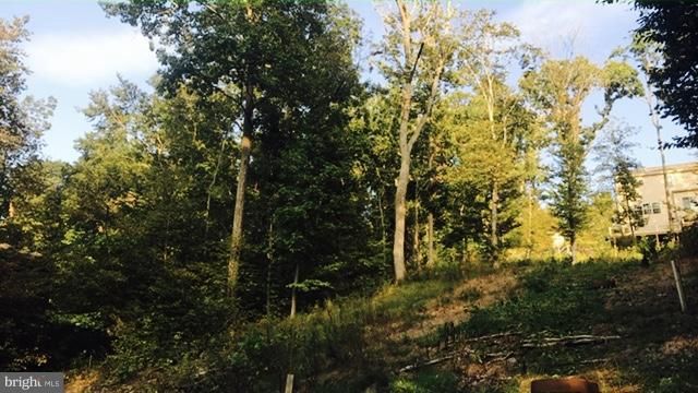 6719 Lakeridge West Rd, New Market, MD 21774