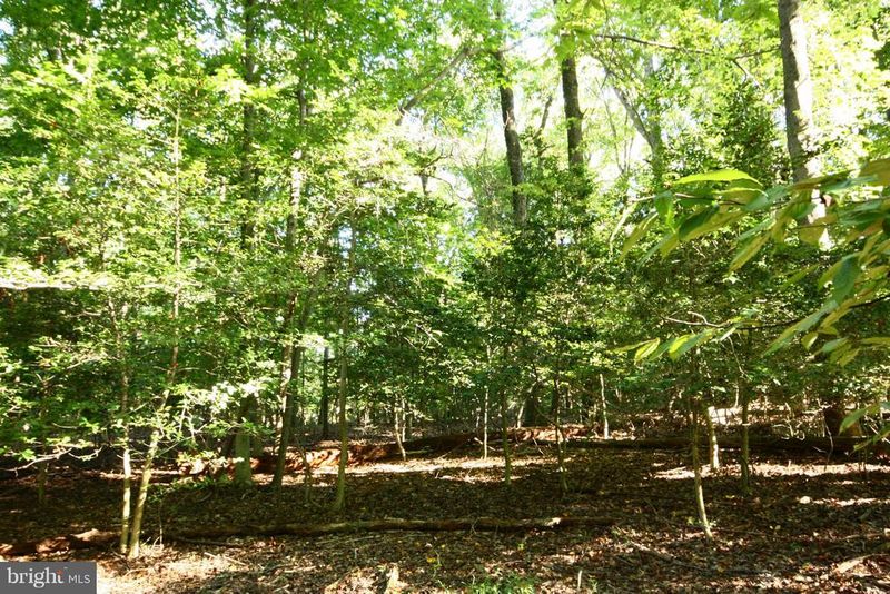 627 Utterback Store Rd, Great Falls, VA 22066