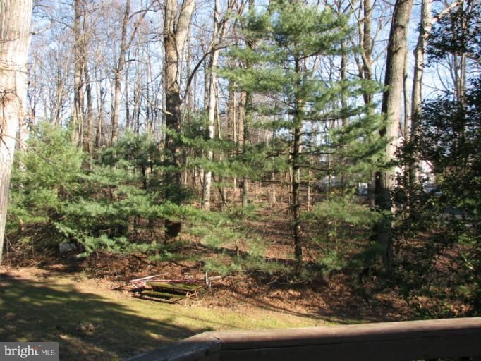 14709 Harold Rd, Silver Spring, MD 20905