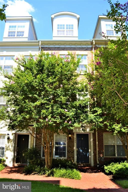 426 N Thomas St, Arlington, VA 22203