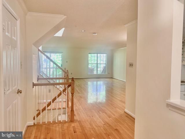2611 Little Vista Ter, Olney, MD 20832