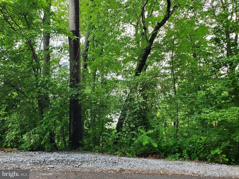 6432 Lakeridge Dr, New Market, MD 21774