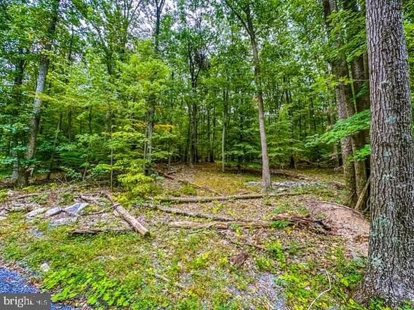 0 Rum Springs Rd, Myersville, MD 21773