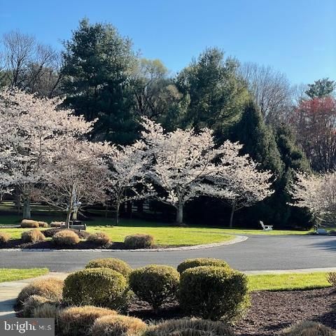 10817 Stanmore Dr, Potomac, MD 20854