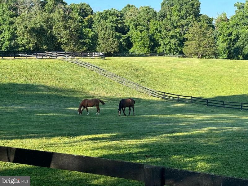 9341 Cornwell Farm Dr, Great Falls, VA 22066