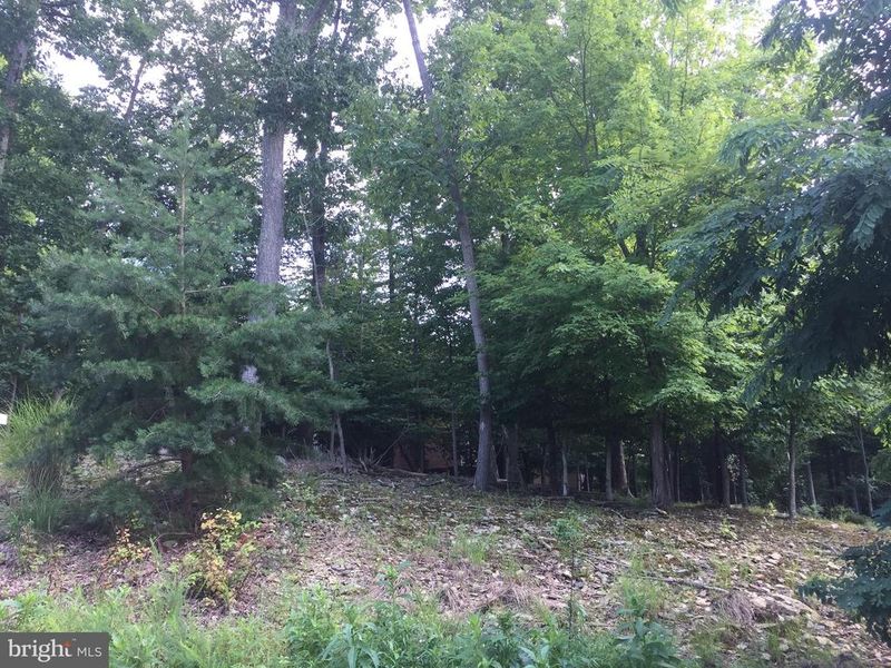 0 Old Barn Parcel # C Dr, New Market, MD 21774