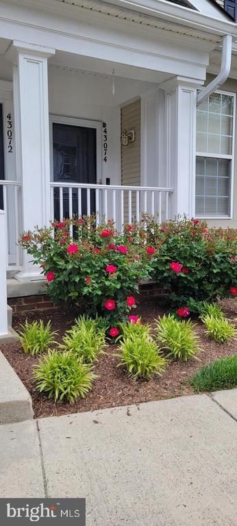 43074 Old Gallivan Ter, Ashburn, VA 20147