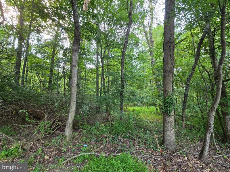 0 Bennett Rd, Mount Airy, MD 21771