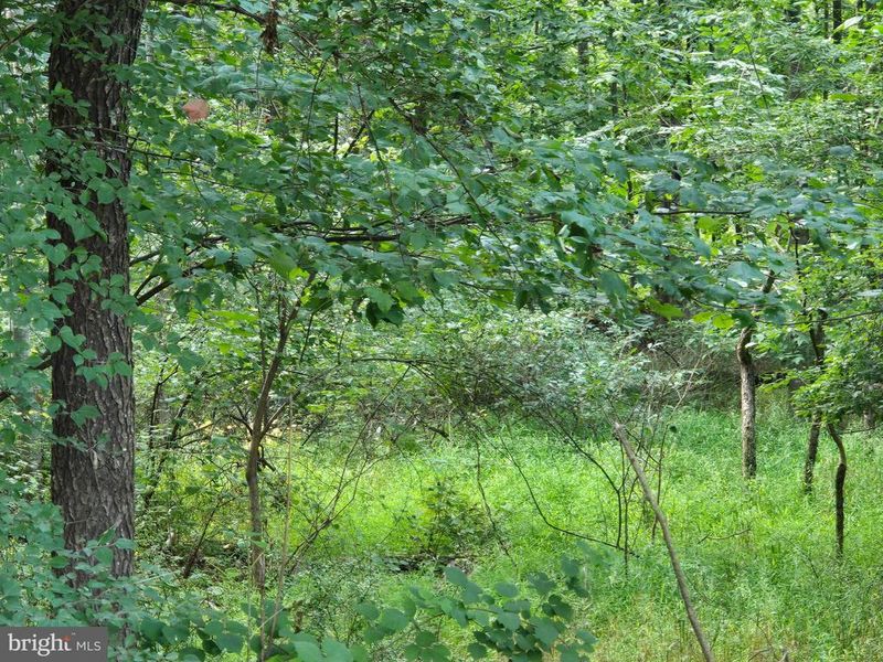 0 Bennett Rd, Mount Airy, MD 21771