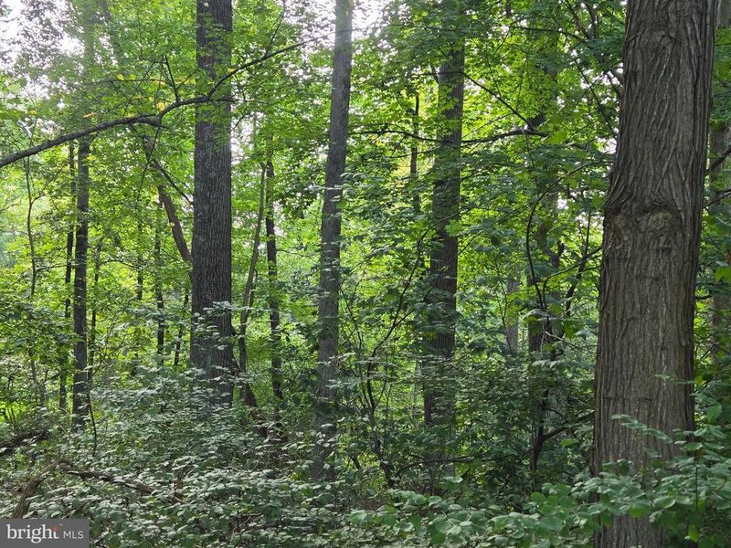 0 Bennett Rd, Mount Airy, MD 21771