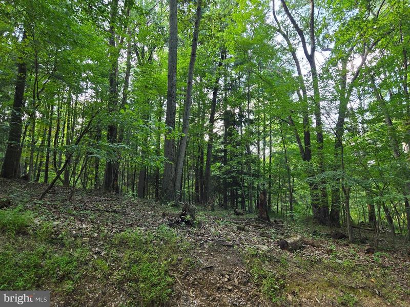 0 Bennett Rd, Mount Airy, MD 21771