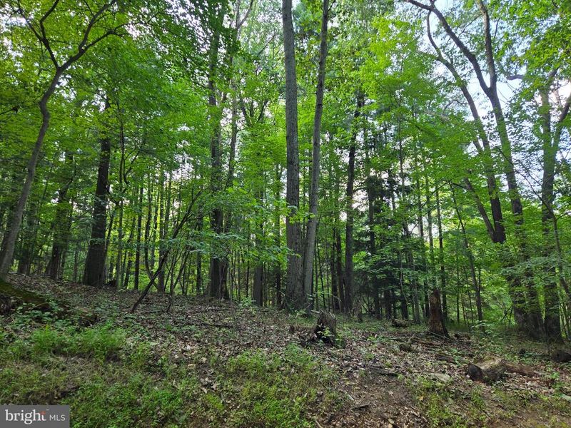 0 Bennett Rd, Mount Airy, MD 21771